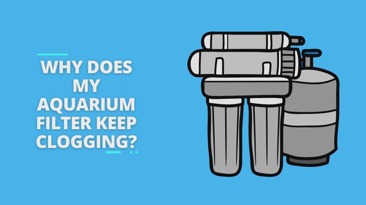 Why Does My Aquarium Filter Keep Clogging?