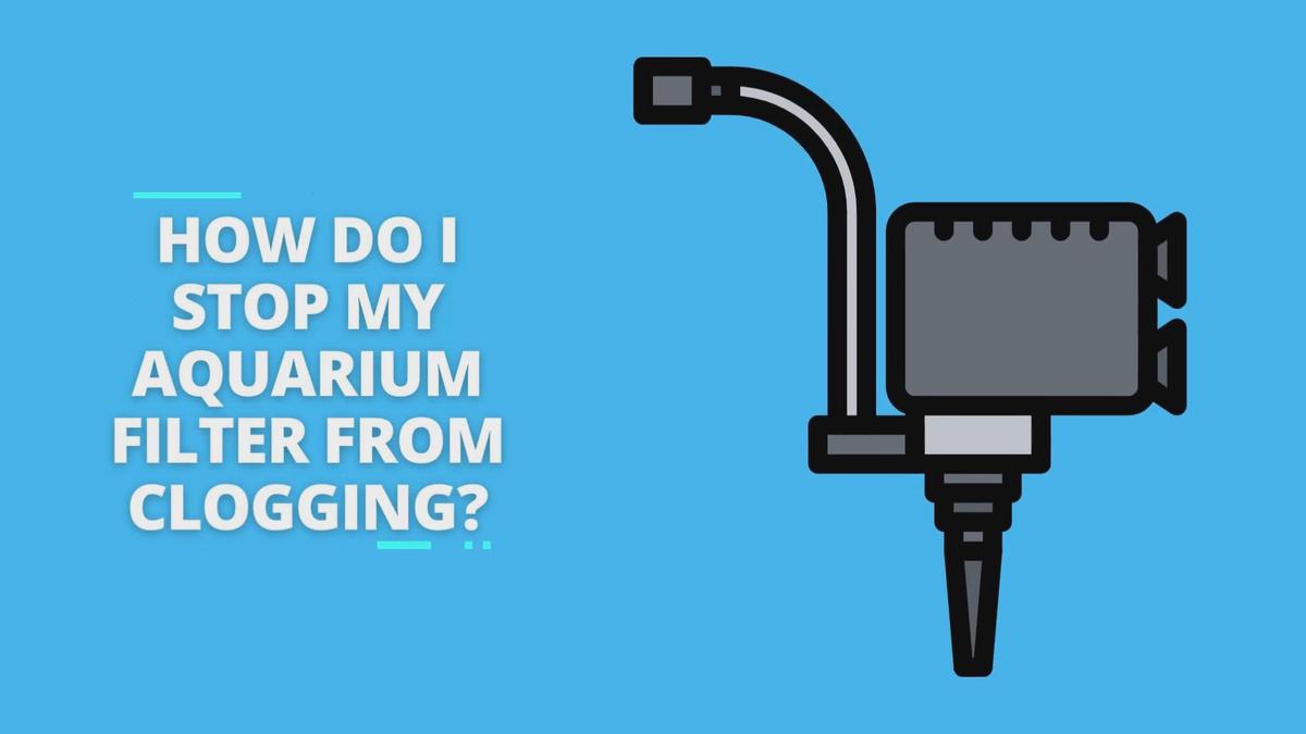 how-do-i-stop-my-aquarium-filter-from-clogging