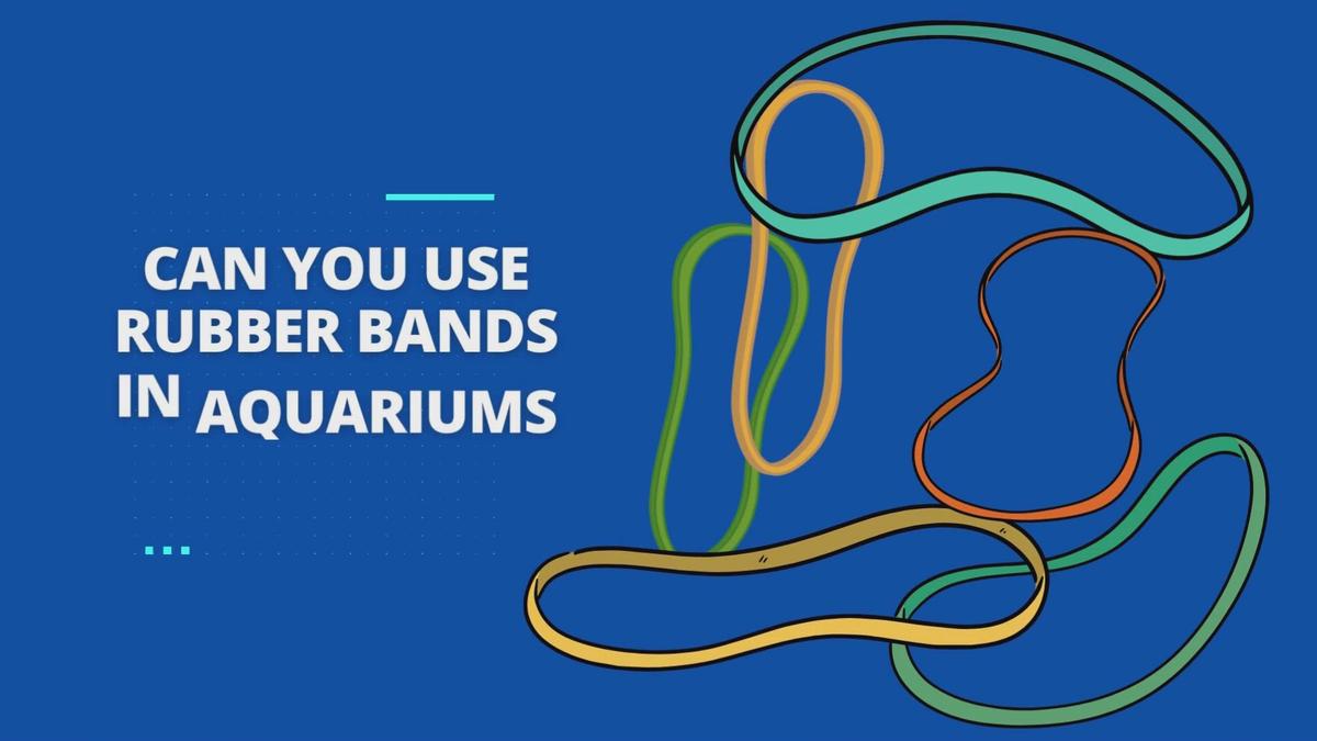 Can You Use Rubber Bands in Aquariums Safely