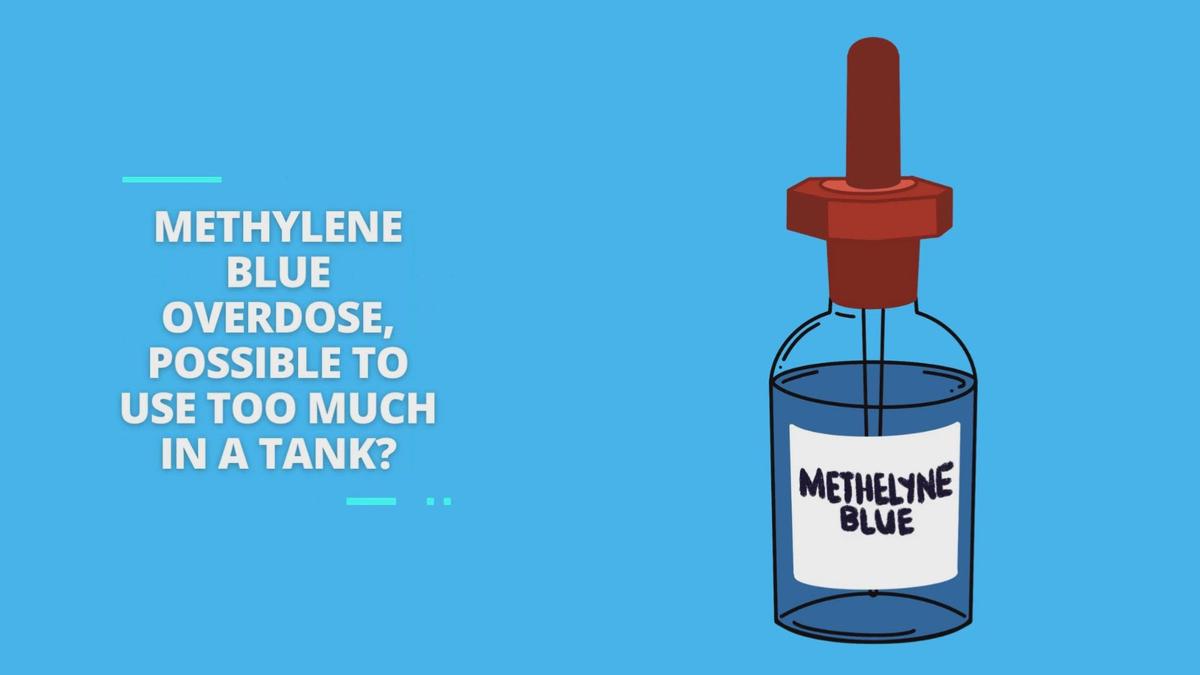 Methylene Blue Overdose, Possible To Use Too Much In a Tank?
