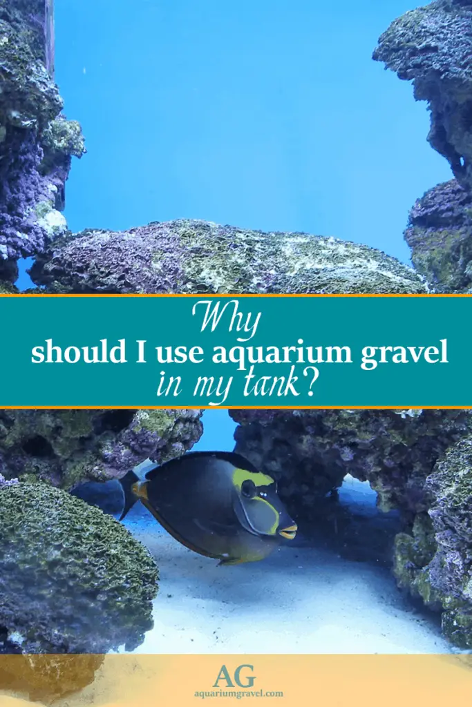 reasons to use aquarium gravel in your fish tank