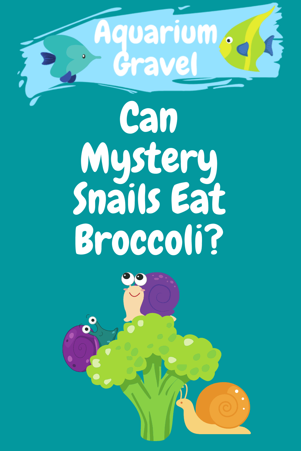Can Mystery Snails Eat Broccoli?