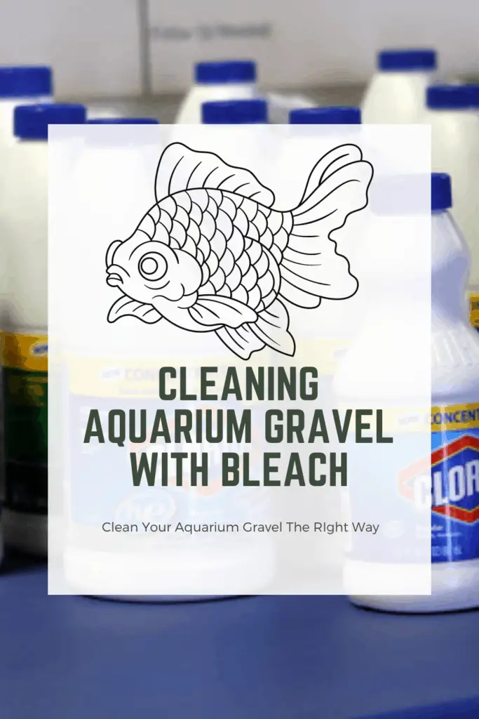 Can you use bleach to clean aquarium gravel? AG