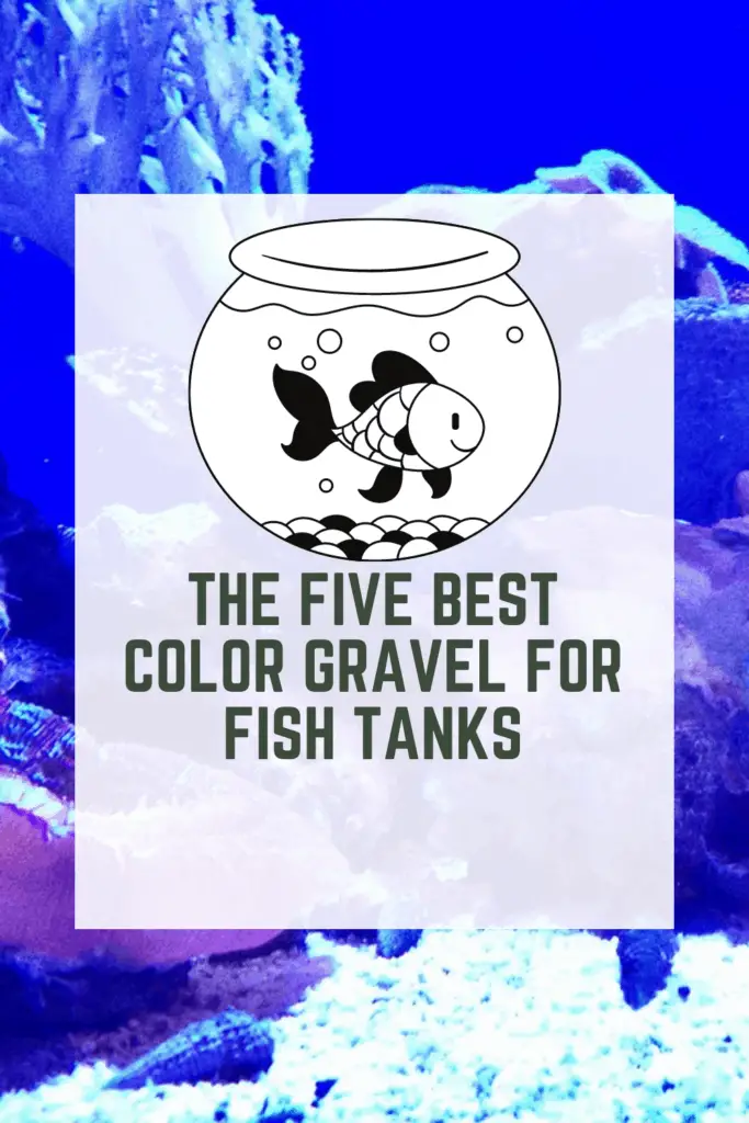 The five best color gravel for fish tanks AG