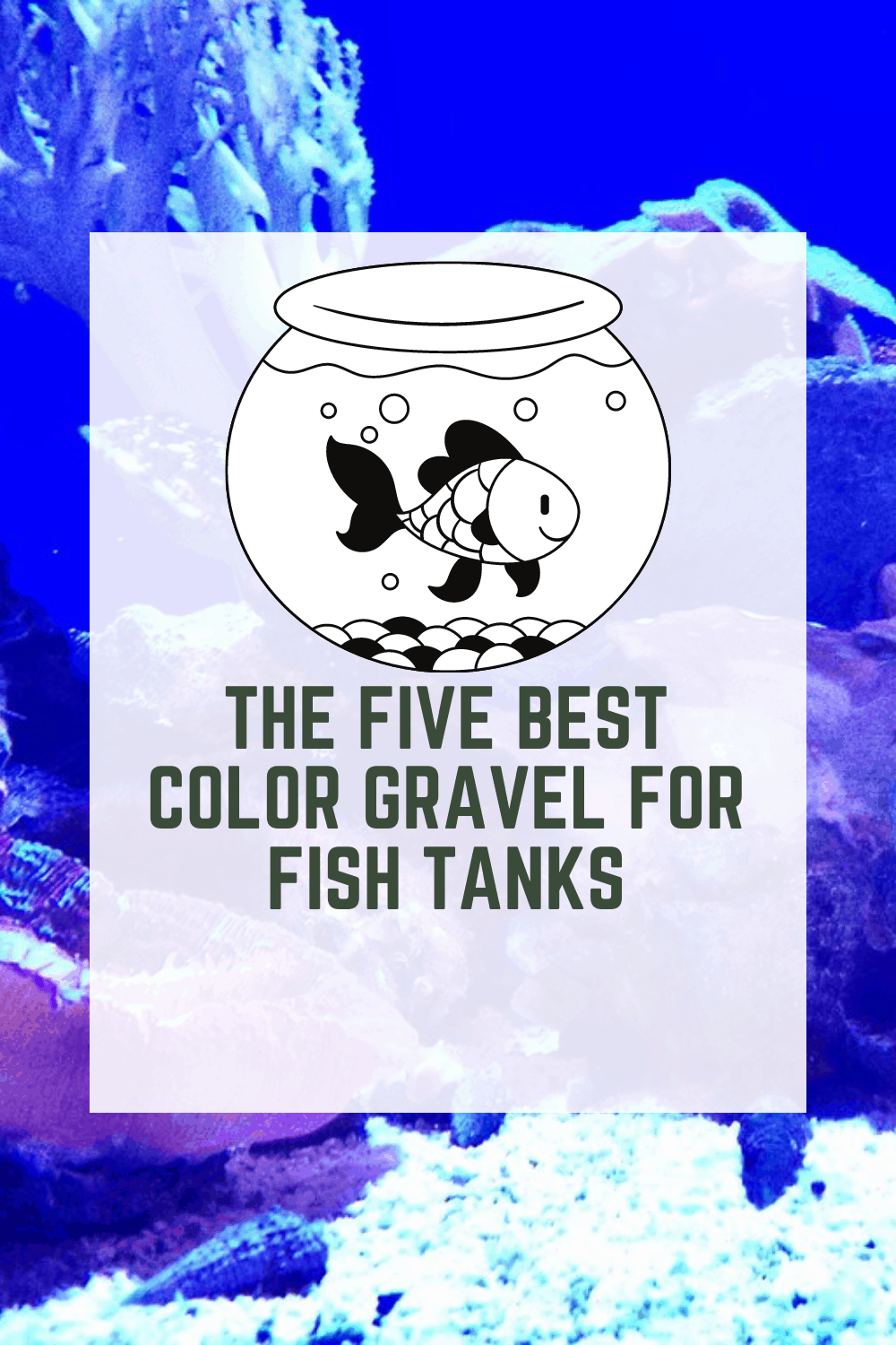 Best color gravel for tanks