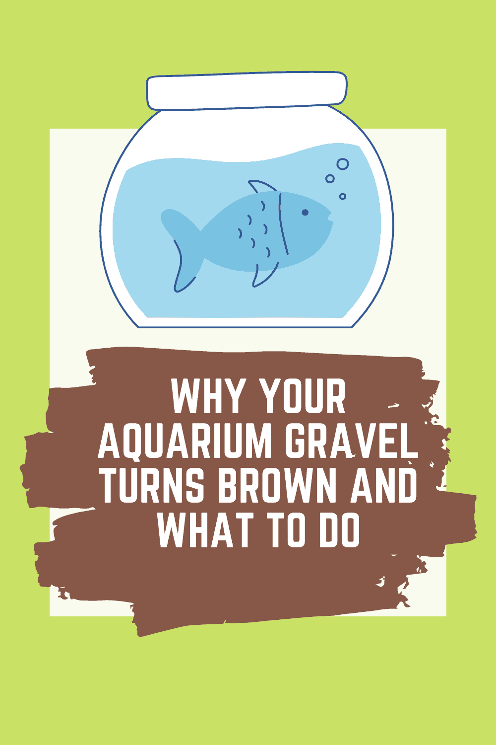 Why your aquarium gravel turns brown and what to do