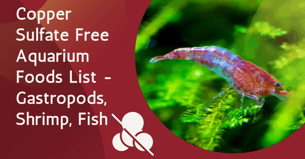 Copper Sulfate And Shrimp, Don't Do It. List Of Alternatives