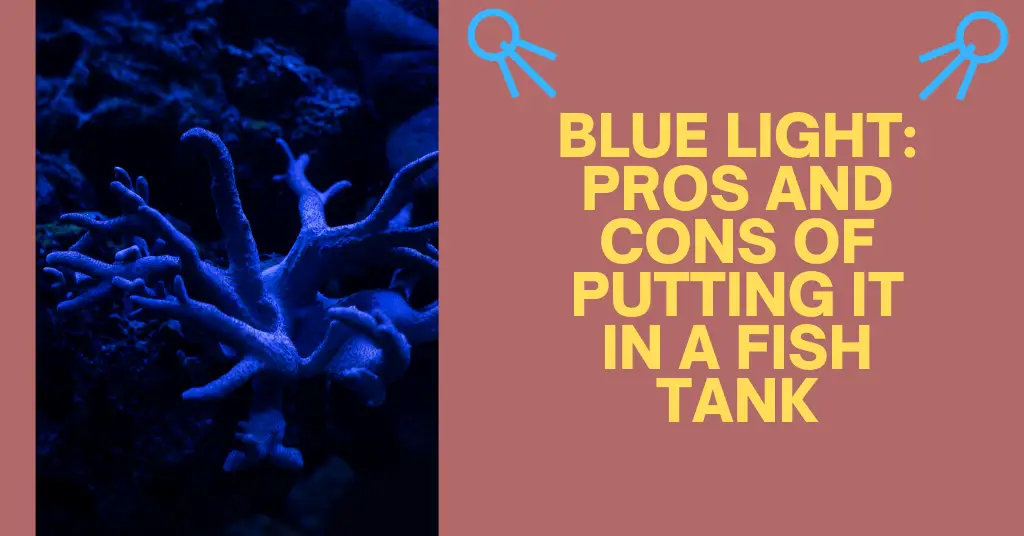 what does blue light in fish tank do