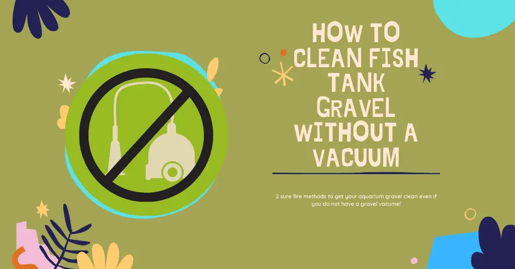 How to clean fish tank gravel without a vacuum