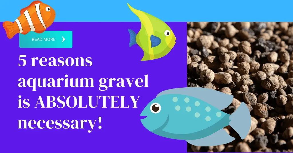 is aquarium gravel necessary