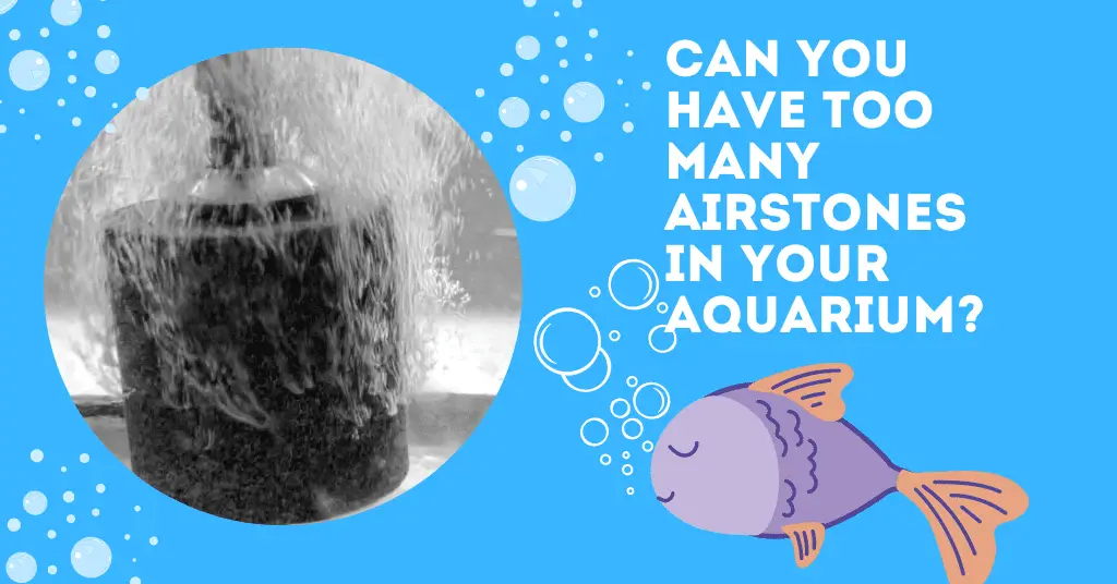 Can you have too many airstones in your aquarium