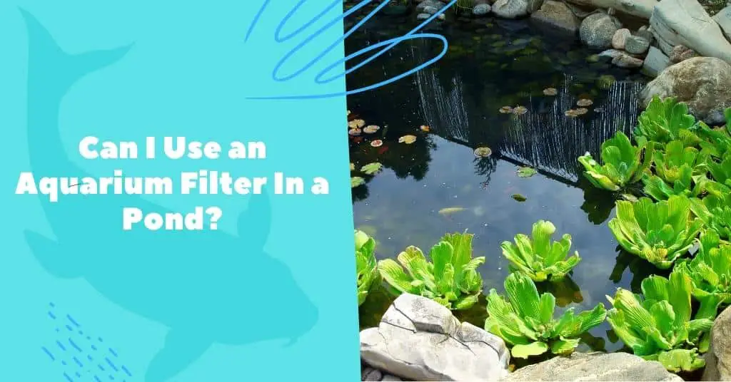 Can I Use an Aquarium Filter In a Pond