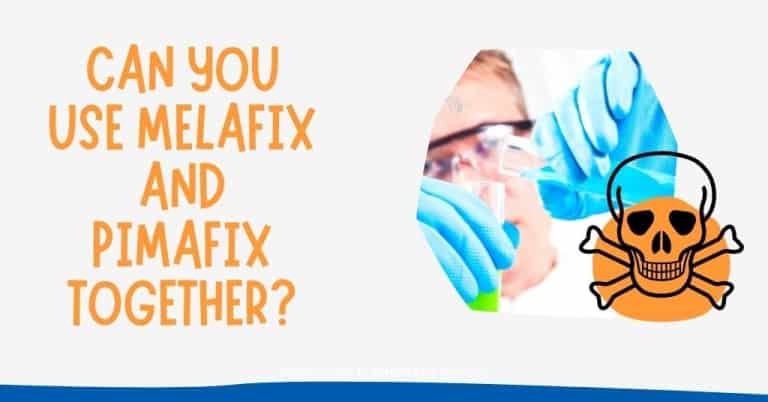 Can You Use Melafix and Pimafix Together? - AG