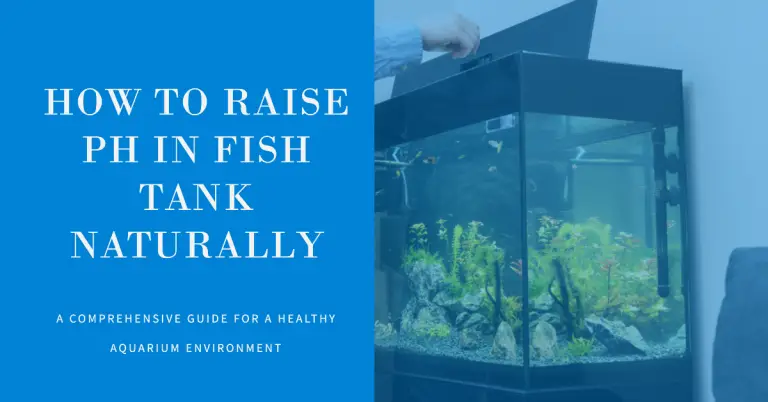 how-to-raise-ph-in-fish-tank-naturally-a-comprehensive-guide